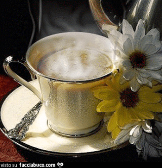 gif animata