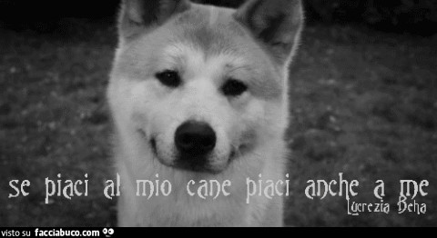 Gif Animata