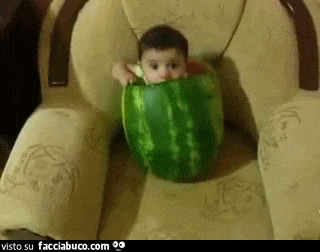 gif animata