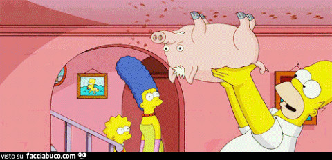 gif animata