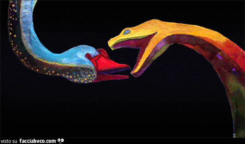 Gif Animata